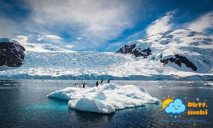 Bang Tan Va Muc Nuoc Bien Dang Cao La Bieu Hien Cua Nong Len Toan Cau