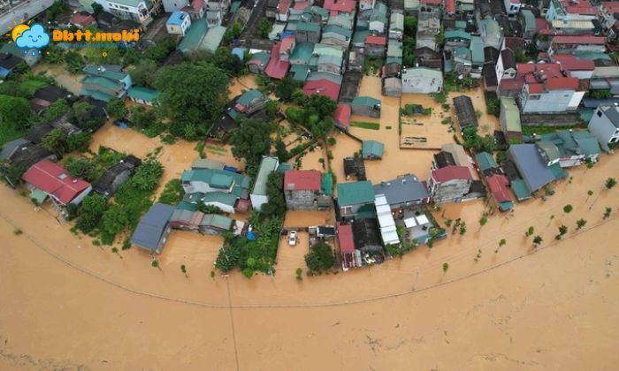 Can Tim Hieu Ro Gio Mua Ha La Gi Va Co Nhung Bien Phap Chu Dong Ung Pho