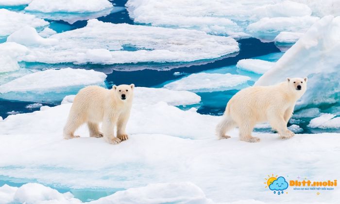 Dia Hinh Chu Yeu La Bang Tuyet