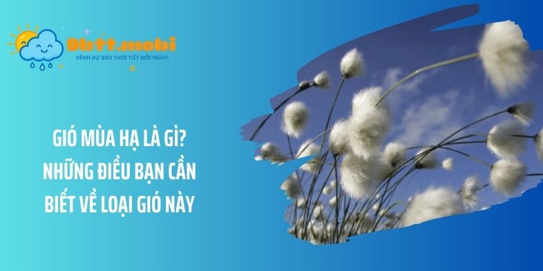 Gió mùa hạ là gì? Những điều bạn cần biết về loại gió này