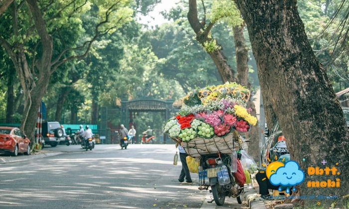Ha Noi Mua Xuan Tho Mong Voi Sac Hoa Ruc Ro