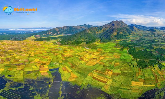 Len Khu Vuc Tay Nguyen Se Hieu Ro Quy Luat Dia O La Gi Va Hoat Dong Nhu The Nao