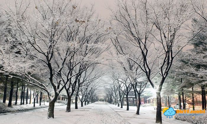 Nhiet Do Luon Khac Nghiet Thu Thach Cac Loai Sinh Vat Va Con Nguoi