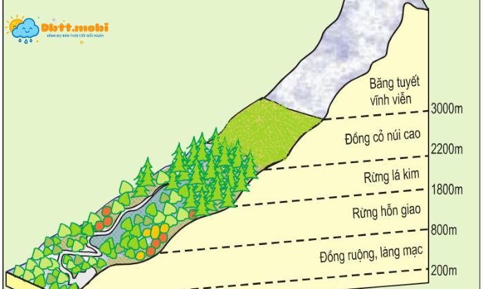 Su Phan Bo Luc Dia Va Dai Duong Anh Huong Lon Toi Quy Luat Dia O