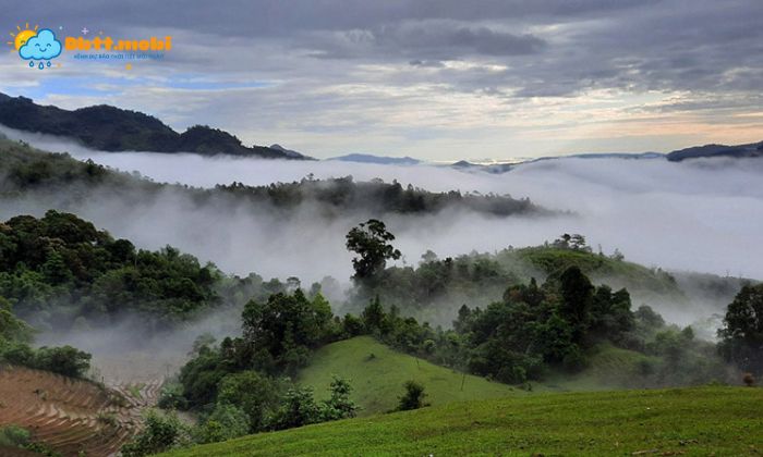 Su Thay Doi Ve Nhiet Do Luong Mua Dan Den Su Bien Dong Ve Dat Dai Va Cay Trong