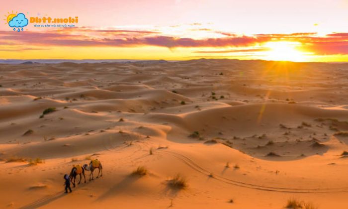 Vung Ven Bien Tay Nam Chau Phi Kho Can Hinh Thanh Nen Sa Mac