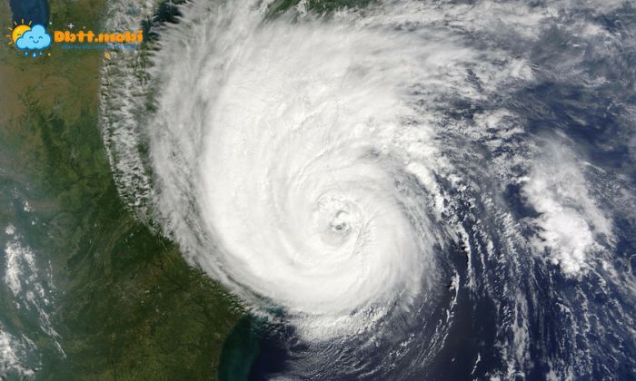 Hoan Luu Bao La Phan Tan Du Cua Mot Con Bao Nhiet Doi