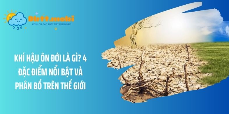 Khí hậu ôn đới là gì? 4 Đặc điểm nổi bật và phân bố trên thế giới
